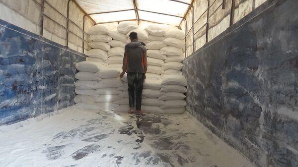القمح السوري - صورة أرشيفية  - سبوتنيك عربي
