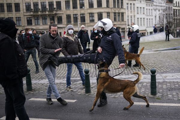 ضابط شرطة يركل أحد المتظاهرين أثناء مظاهرة غير مصرح بها ضد الإجراءات التقييدية المتعلقة بـكوفيد-19 في بروكسل، 31 يناير 2021. - سبوتنيك عربي