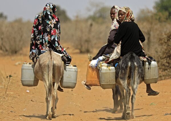 نساء سودانيات ينقلن المياه على ظهور الحمير في قرية الطويل سعدون ، 85 كيلومترًا جنوب مدينة نيالا، عاصمة جنوب دارفور، 2 فبراير 2021 - سبوتنيك عربي