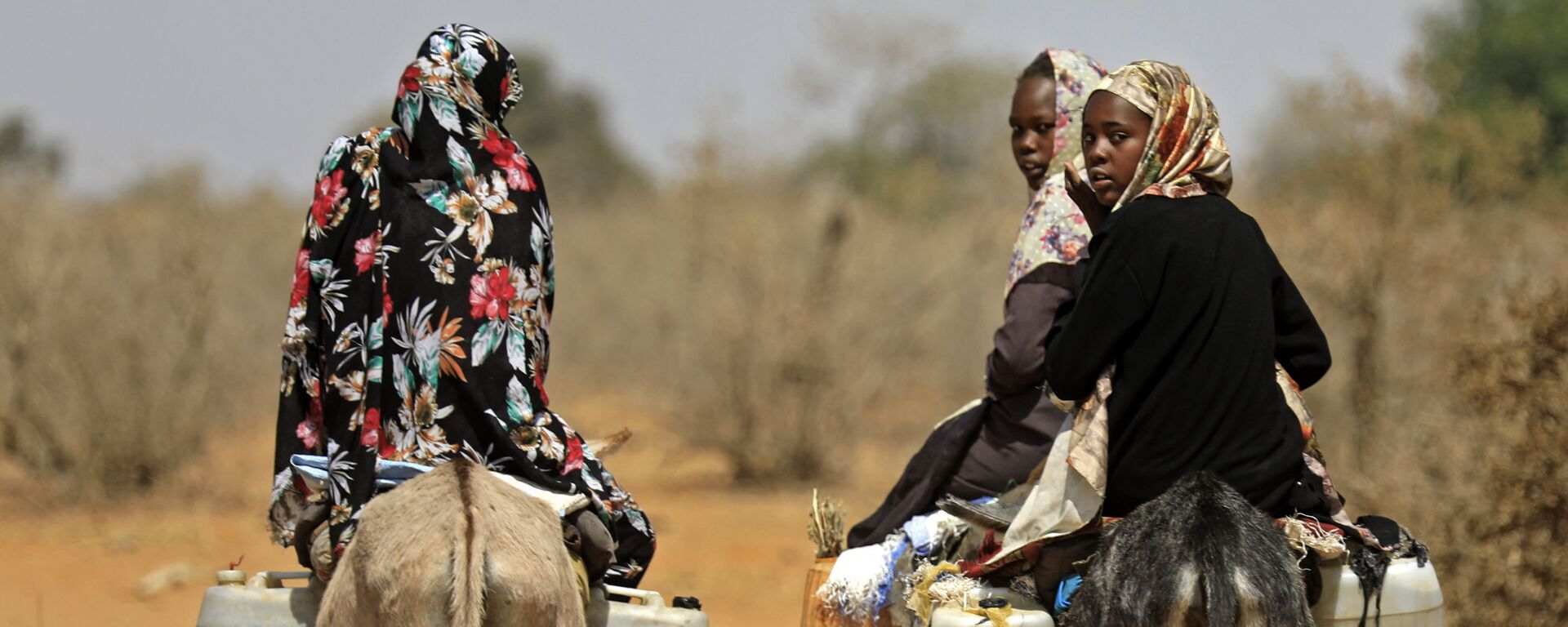 نساء سودانيات ينقلن المياه على ظهور الحمير في قرية الطويل سعدون ، 85 كيلومترًا جنوب مدينة نيالا، عاصمة جنوب دارفور، 2 فبراير 2021 - سبوتنيك عربي, 1920, 25.12.2022