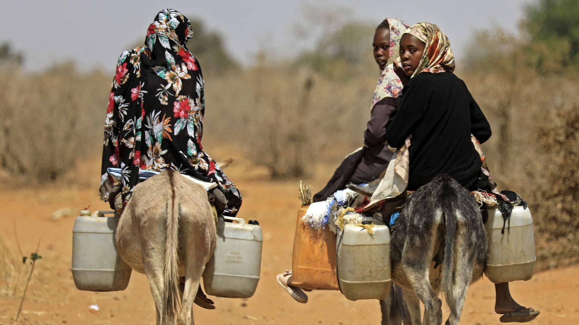 نساء سودانيات ينقلن المياه على ظهور الحمير في قرية الطويل سعدون ، 85 كيلومترًا جنوب مدينة نيالا، عاصمة جنوب دارفور، 2 فبراير 2021 - سبوتنيك عربي, 1920, 17.07.2021