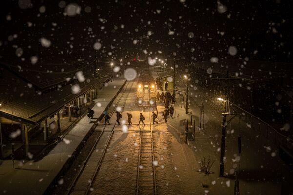  صورة بعنوان الشتاء الأخير، للمصور يوكيهيتو أونو، الفائزة في ترشيحات الجوائز الوطنية (اليابان) من مسابقة جوائز سوني العالمية للتصوير الفوتوغرافي لعام 2021 - سبوتنيك عربي