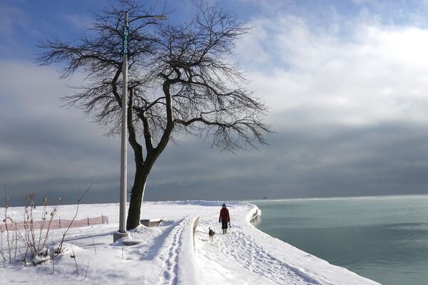 Жительница Чикаго гуляет со своей собакой вдоль заснеженного берега озера на Норт-авеню-Бич - سبوتنيك عربي