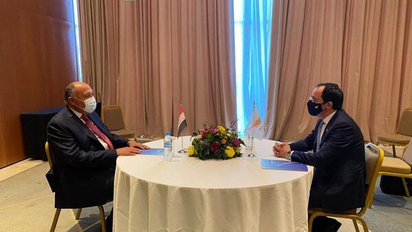 لقاء وزير الخارجية المصري سامح شكري مع وزير الخارجية القبرصي في العاصمة اليونانية أثينا - سبوتنيك عربي
