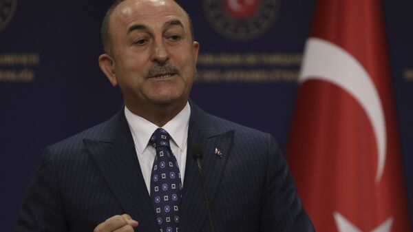 وزير الخارجية التركي مولود تشاووش أوغلو - سبوتنيك عربي
