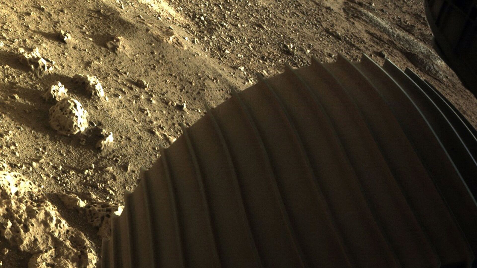 صور التقطتها مركبة ناسا أثناء الهبوط على المريخ - سبوتنيك عربي, 1920, 20.02.2021