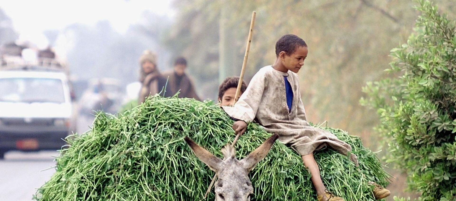 صبي مصري يركب حمارا محملا بالخضروات في مدينة جرجا بصعيد مصر، 4 يناير/ كانون الثاني 2000 - سبوتنيك عربي, 1920, 21.02.2021