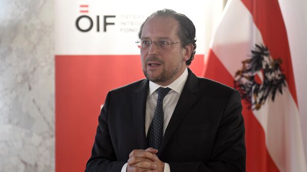 وزير الخارجية النمساوي ألكسندر شالنبرغ - سبوتنيك عربي
