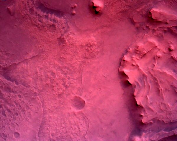 صورة لسطح كوكب المريخ مباشرة أسفل مركبة المركبة المتجولة بيرسيفرانس مارس التابعة لوكالة الفضاء الدولية ناسا، بواسطة كاميرا روفر داون-لوك في صورة تم الحصول عليها في 22 فبراير 2021 - سبوتنيك عربي