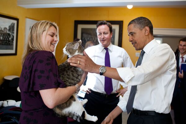 رئيس الوزراء البريطاني ديفيد كامرون يعرف القط لاري على الرئيس الأمريكي باراك أوباما في مقر رئيس الوزراء البريطاني في 10 داونينغ ستريت، 25 مايو 2011 - سبوتنيك عربي