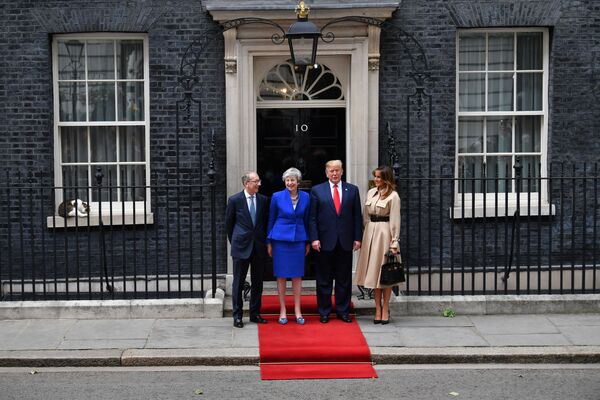 القط لاري على خلفية صورة رئيسة وزراء تيريزا ماي مع زوجها وزوج ترامب عند مدخل مقر إقامة رئيس الوزراء البريطاني في 10 داونينغ ستريت في لندن، المملكة المتحدة، 4 يونيو 2019 - سبوتنيك عربي