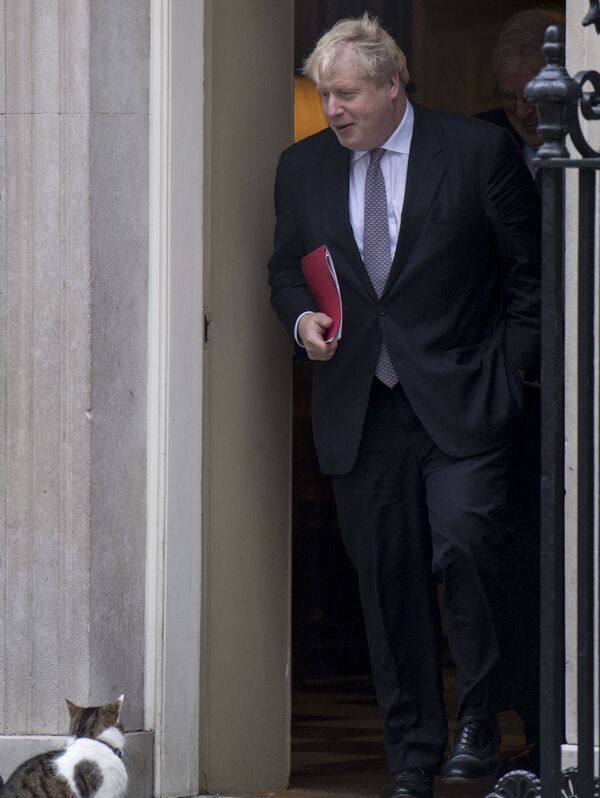 وزير الخارجية البريطاني بوريس جونسون ولاري القط عند مدخل مقر إقامة رئيس الوزراء البريطاني في 10 داونينغ ستريت في لندن، المملكة المتحدة، 10 يناير 2017 - سبوتنيك عربي