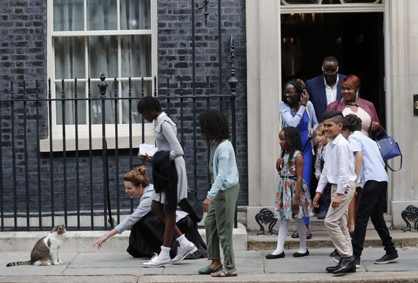 تلاميذ المدارس يحاولون ملاعبة القط لاري بعد الانتهاء من لقاء رئيس الوزراء البريطاني بوريس جونسون في 10 داونينج ستريت في لندن، المملكة المتحدة 30 أغسطس 2019 - سبوتنيك عربي