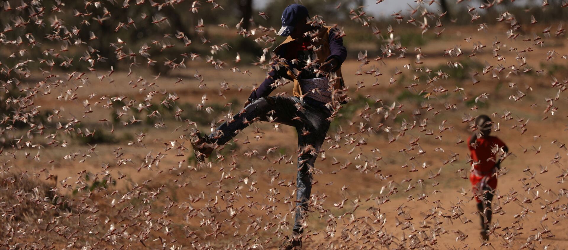 رجل يحاول مطاردة سرب من الجراد الصحراوي في نايبيريري، بالقرب من بلدة روموروتو، كينيا،22  فبراير2021 - سبوتنيك عربي, 1920, 18.04.2021