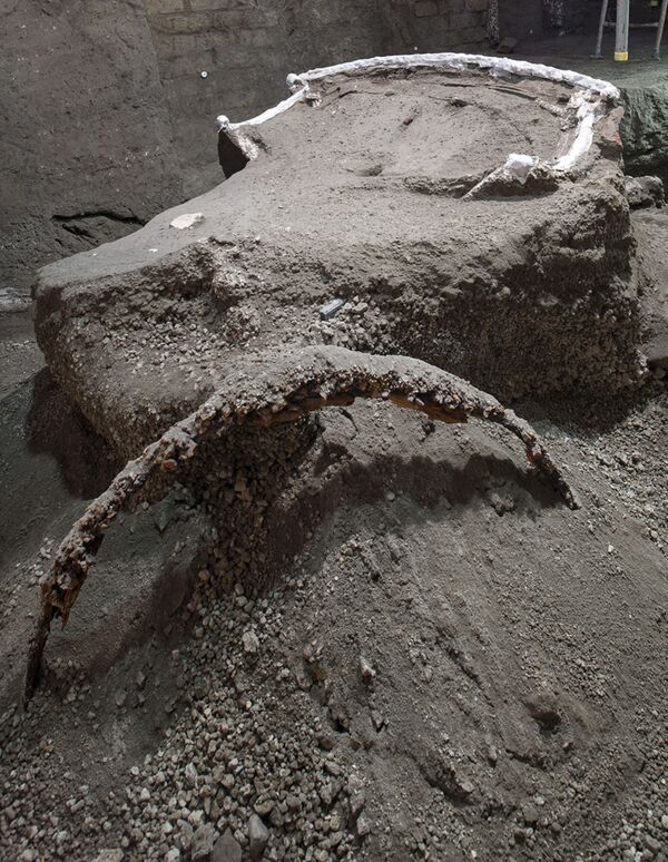 تظهر الصورة التي قدمتها الحديقة الأثرية في بومبي، يوم 27 فبراير، تفاصيل عربة رومانية كبيرة بأربع عجلات، كانت تستخدم في المراسم الاحتفالية والمناسبات، والتي تم اكتشافها بالقرب من حديقة بومبي الأثرية - سبوتنيك عربي