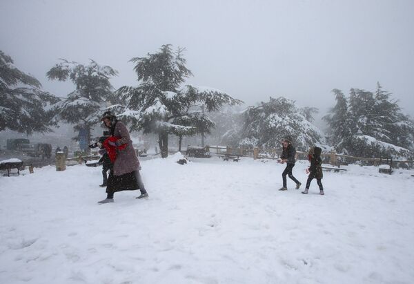 تساقط الثلوج على المناطق الجبلية في البليدة، الجزائر 22 مارس 2021 - سبوتنيك عربي
