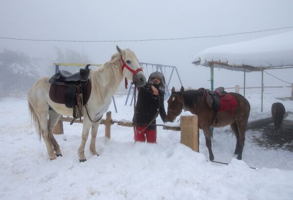 Мужчина рядом со своими лошадьми во время снегопада в تساقط الثلوج على المناطق الجبلية في البليدة، الجزائر 22 مارس 2021Алжира - سبوتنيك عربي