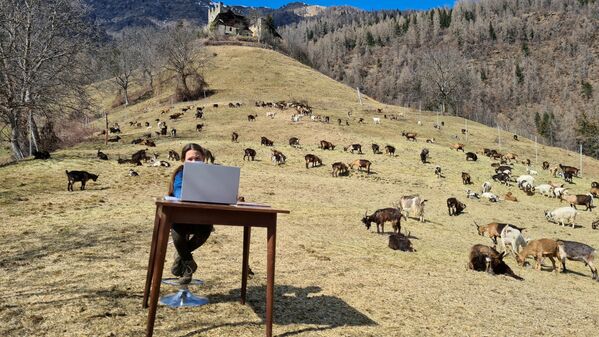 فياميتا، البالغة من العمر 10 سنوات، خلال درس عبر الإنترنت، محاطة بحيوانات الماعز في مرعى تابع لوالدها في كالديس، إيطاليا 20 مارس 2021 - سبوتنيك عربي