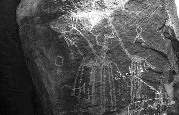 نقش لقطيع من الزرافات على إحدى الصخور في منطقة أم عشيرة، عام 1963 - سبوتنيك عربي