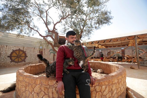 مأوى إرنيستو (Ernesto's sanctuary) للقط في إدلب، سوريا 28 مارس 2021 - سبوتنيك عربي