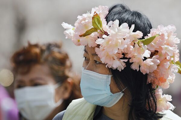 موسم تفتح أزهار شجر الكرز الشهيرة في هذا الوقت من العام، بكين، الصين 31 مارس 2021 - سبوتنيك عربي