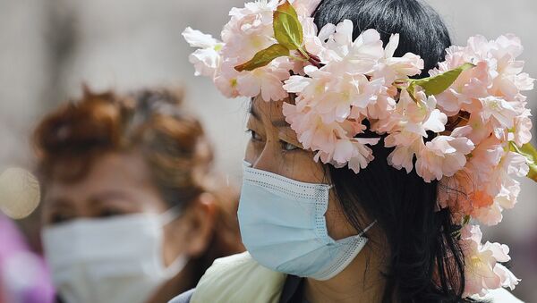 موسم تفتح أزهار شجر الكرز الشهيرة في هذا الوقت من العام، بكين، الصين 31 مارس 2021 - سبوتنيك عربي