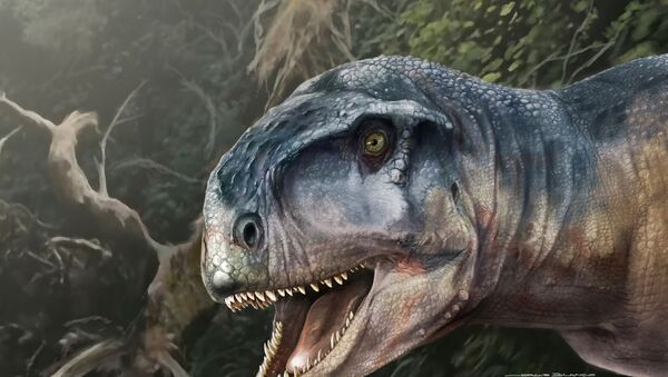 رسم تخيلي للديناصور لوكالكان أليوكرانيانوس الذي كان يأكل اللحوم في العصر الطباشيري وعاش قبل حوالي 80 مليون عاما في منطقة باتاغونيا، الأرجنتين - سبوتنيك عربي