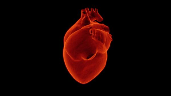 أمراض القلب - سبوتنيك عربي