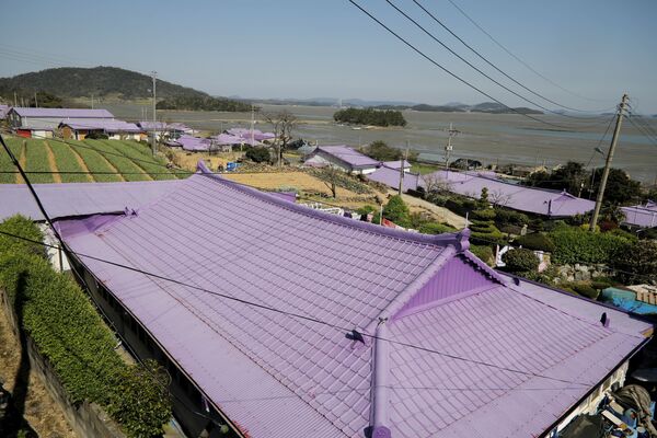 أسطح المنازل على الجزيرة البنفسجية في محافظة تشولا الجنوبية في كوريا الجنوبية، 6 أبريل 2021 - سبوتنيك عربي