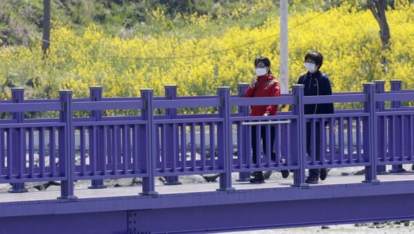 سياح يسيرون على الجسر البنفسجي (جسر الملاك) الذي يربط جزيرتي بانفول وباركجي في محافظة تشلا الجنوبية في كوريا الجنوبية، 6 أبريل 2021 - سبوتنيك عربي