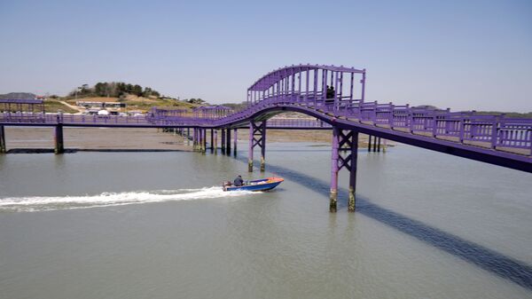 الجسر البنفسجي (جسر الملاك) الذي يربط جزيرتي بانفول وباركجي في محافظة تشلا الجنوبية في كوريا الجنوبية، 6 أبريل 2021 - سبوتنيك عربي