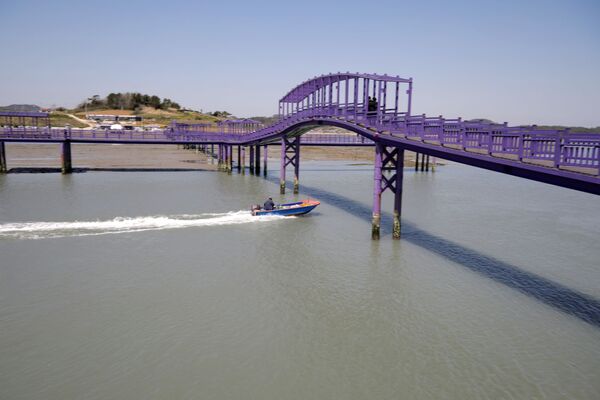 الجسر البنفسجي (جسر الملاك) الذي يربط جزيرتي بانفول وباركجي في محافظة تشلا الجنوبية في كوريا الجنوبية، 6 أبريل 2021 - سبوتنيك عربي