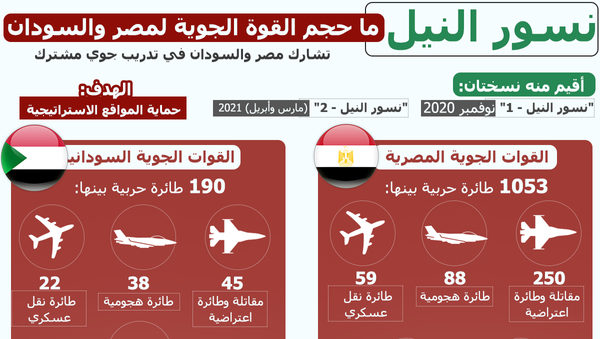 حجم القوة الجوية لمصر والسودان - سبوتنيك عربي