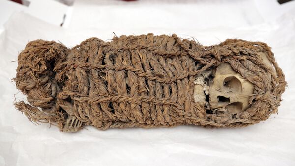صورة نشرة أصدرتها وزارة الثقافة البيروفية لمومياء رضيع أيمارا عمرها 2000 عام - سبوتنيك عربي