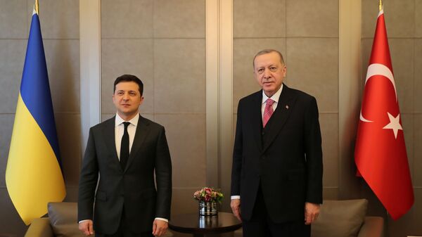 الرئيس الأوكراني فلاديمير زيلينسكي،والرئيس التركي، رجب طيب أردوغان - سبوتنيك عربي