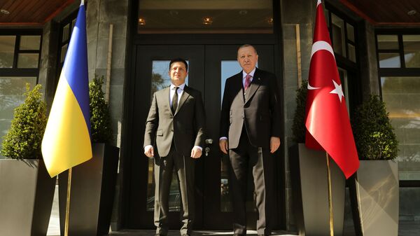 الرئيس التركي، رجب طيب أردوغان، ونظيره الأوكراني فلاديمير زيلينسكي - سبوتنيك عربي