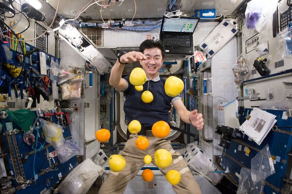 رائد الفضاء اليابانية كيميا يوي بصدد جمع الفاكهة المتناثرة في الهواء على متن محطة الفضاء الدولية - سبوتنيك عربي