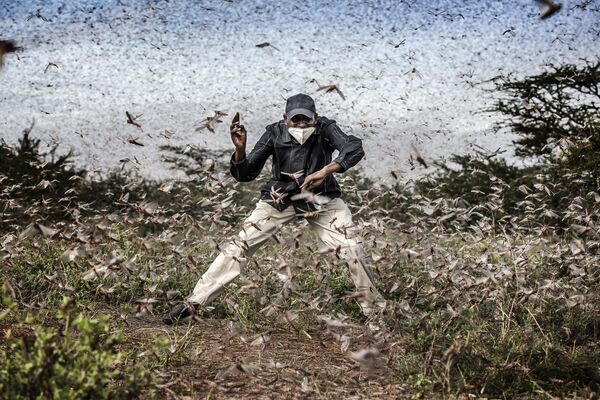 صورة من سلسلة غزو الجراد في شرق أفريقيا، للمصور الإسباني لويس تاتو، الفائزة في فئة الحياة البرية والطبيعة الاحترافية في مسابقة جوائز سوني العالمية للتصوير الفوتوغرافي لعام 2021 - سبوتنيك عربي