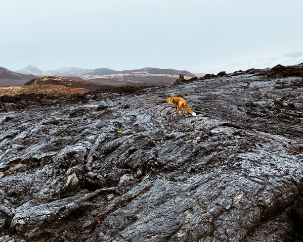 صورة من سلسلة البركان، للمصور الروسي فيودر سافينتسيف، الفائزة في فئة الطبيعة المحترفة في مسابقة جوائز سوني العالمية للتصوير الفوتوغرافي 2021 - سبوتنيك عربي