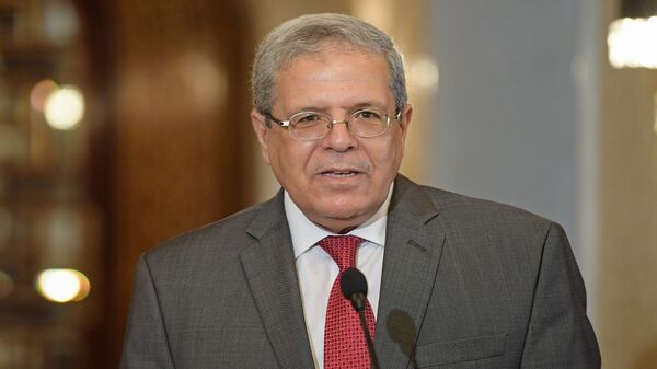 وزير خارجية تونس عثمان الجرندي - سبوتنيك عربي