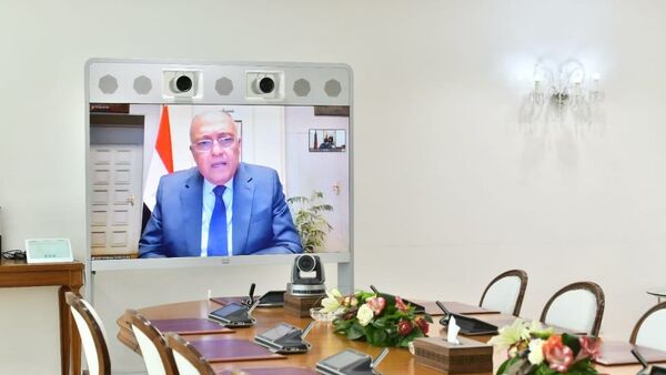 وزير الخارجية المصري سامح شكري - سبوتنيك عربي