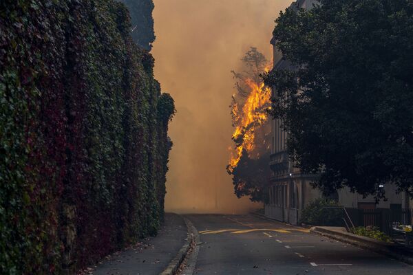 حريق هائل نشب في جبل تيبل في كيب تاون، جنوب أفريقيا 19 أبريل2021 - سبوتنيك عربي