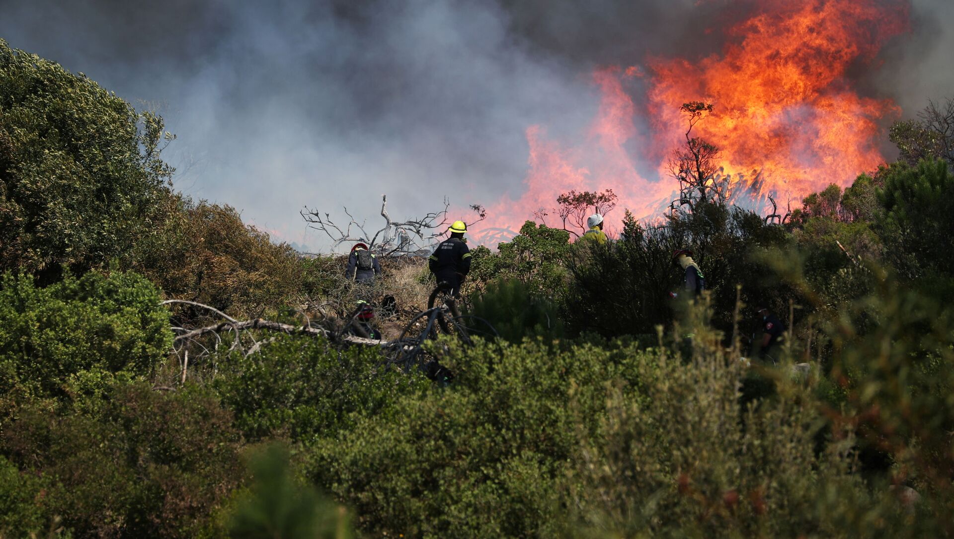 عملية اطفاء حريق هائل نشب في جبل تيبل في كيب تاون، جنوب أفريقيا 19 أبريل 2021 - سبوتنيك عربي, 1920, 28.07.2021