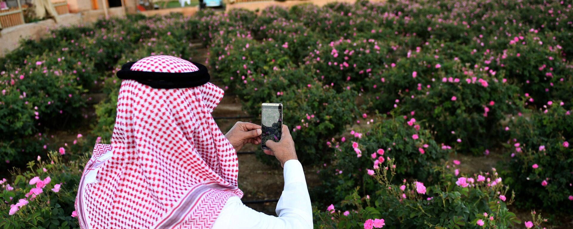 رجل سعودي يلتقط صورة للورود في مزرعة بن سلمان في مدينة الطائف غرب السعودية 13 مارس2021 - سبوتنيك عربي, 1920, 20.04.2021