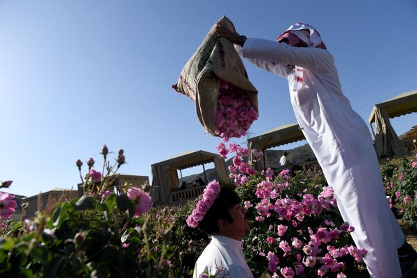 سلمان، أحد أفراد عائلة بن سلمان، يلقي بالورود في الهواء في مزرعة العائلة في مدينة الطائف السعودية، 13 مارس 2021 - سبوتنيك عربي