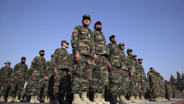 الجيش الوطني الأفغاني، أفغانستان، 2020 - سبوتنيك عربي