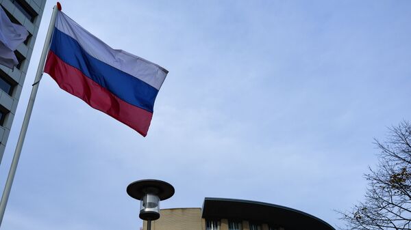 العلم الروسي أمام مبنى منظمة حظر الأسلحة الكيميائية في لاهاي. - سبوتنيك عربي
