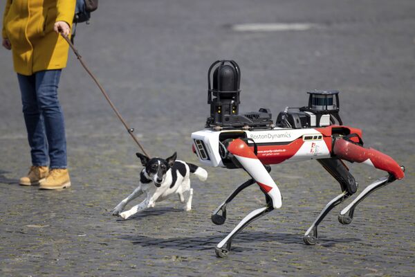 كلب ينبح لدى رؤية كلب آلي في ساحة كاثيدرال سكوير في إرفورت، ألمانيا 20 أبريل 2021 - سبوتنيك عربي