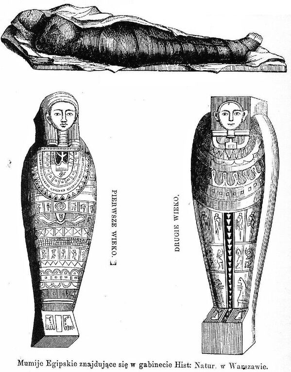 علماء الآثار البولنديون يكتشفون أول مومياء في العالم لامرأة حامل، في منطقة طيبة، مصر 29 أبريل 2021 - سبوتنيك عربي