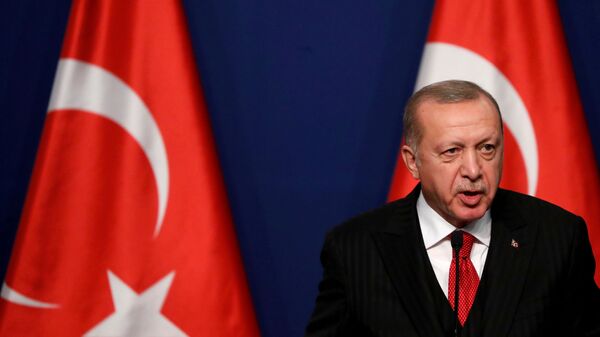 الرئيس التركي رجب طيب أردوغان، تركيا - من أرشيف 2019 - سبوتنيك عربي
